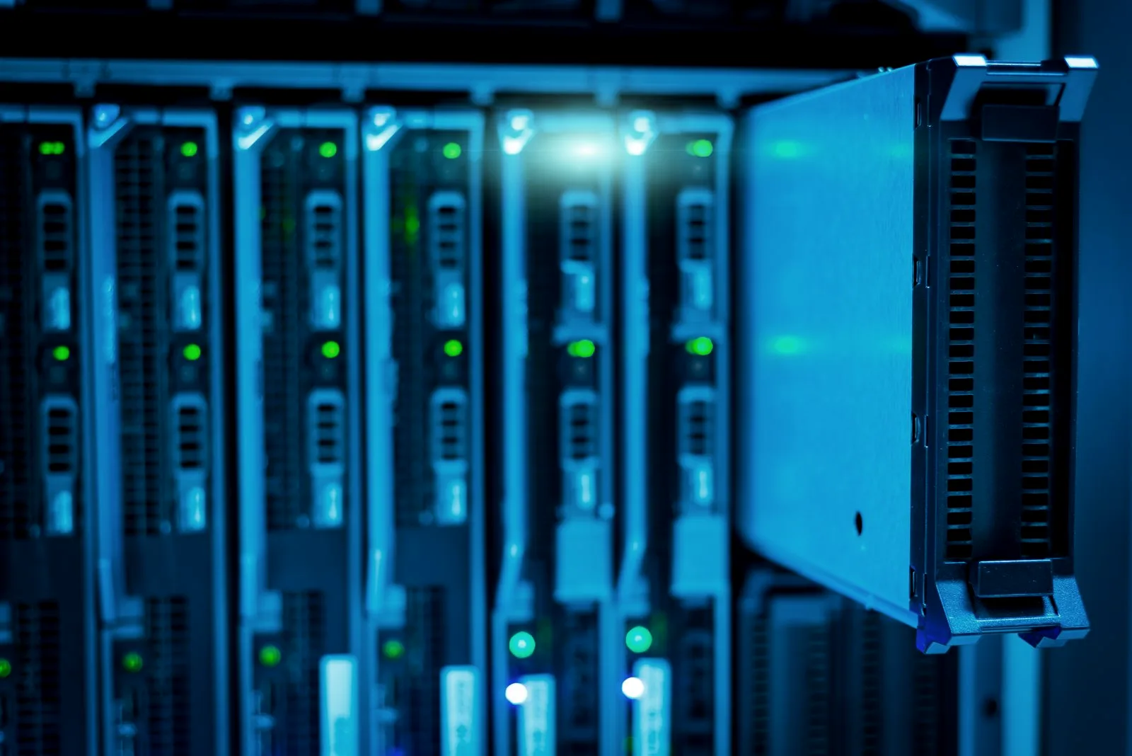 Rows of structured data records on a dark surface, representing distinct categories of leaked credential data.